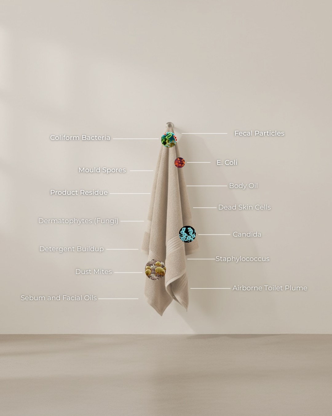 HAUSSKIIN FACIAL TOWEL